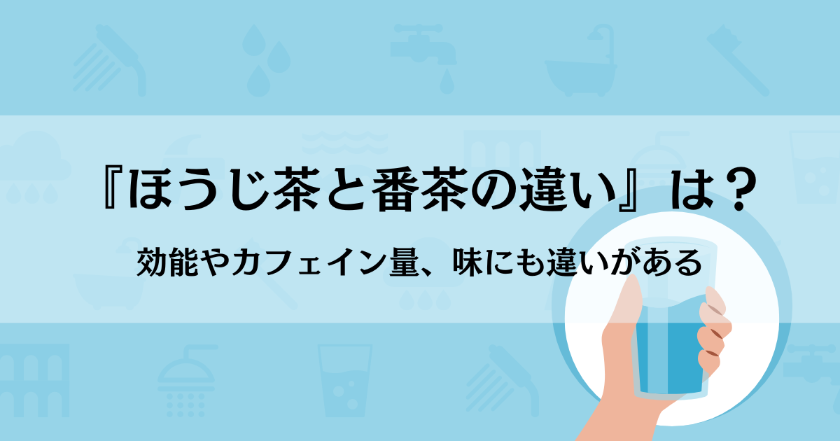 『ほうじ茶と番茶の違い』は？効能やカフェイン量、味にも違いがある